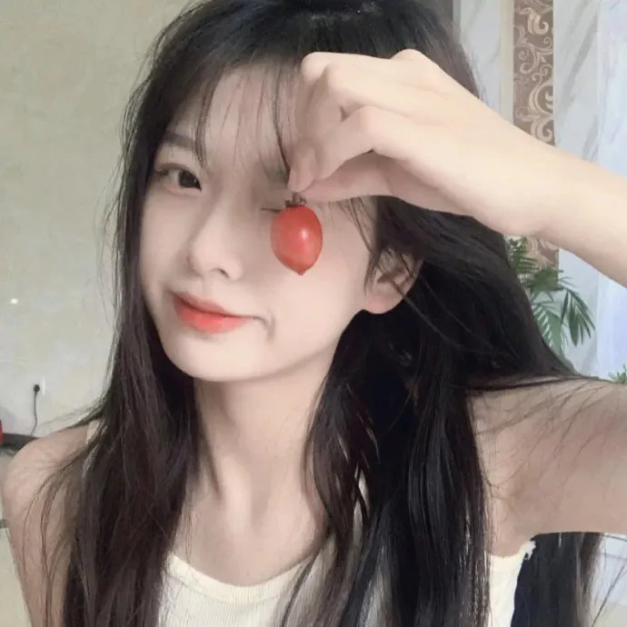 征服北极的人